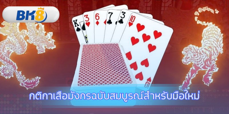 เรียนรู้กฎพื้นฐานของเกมไพ่ใบเดียว