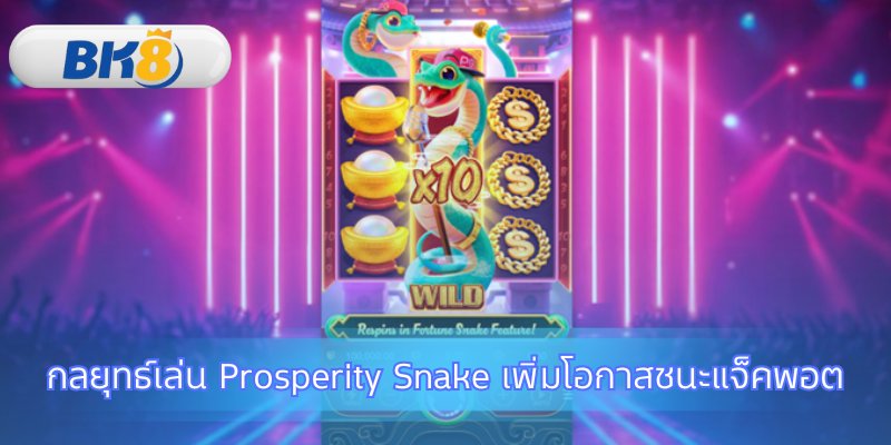 วางแผนการเล่น Prosperity Snake อย่างมืออาชีพ